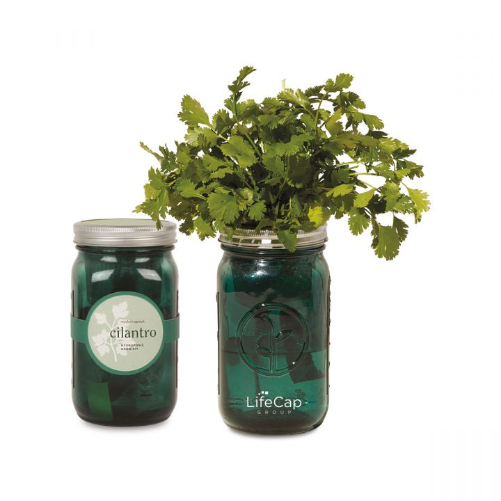 Modern Sprout Indoor Herb Garden - h_100712-309