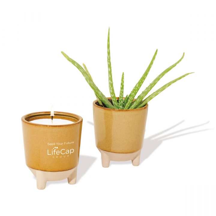 Modern Sprout Glow and Grow Live Well Gift Set - h_100713-291