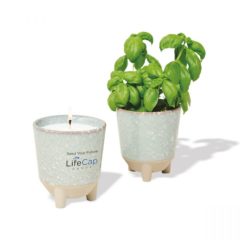Modern Sprout Glow and Grow Live Well Gift Set - h_100713-335