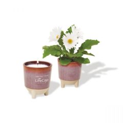 Modern Sprout Glow and Grow Live Well Gift Set - h_100713-609