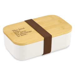 Satsuma Bento Lunch Box - renditionDownload 1