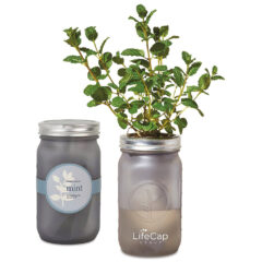 Modern Sprout® Indoor Herb Garden - renditionDownload 1
