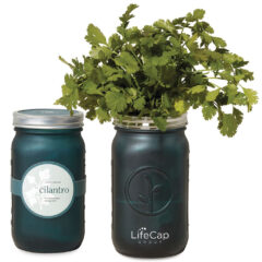 Modern Sprout® Indoor Herb Garden - renditionDownload