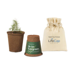 Modern Sprout® One For One Tree Kit - renditionDownload