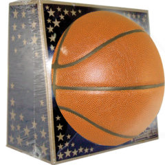 Full Size Synthetic Leather Basketball - FSSLBB retail box