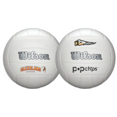 Wilson Synthetic Leather Volleyball - WLVOL_GROUP