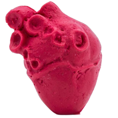 Pencil Top Erasers - penciltoperaseranatomicalheart