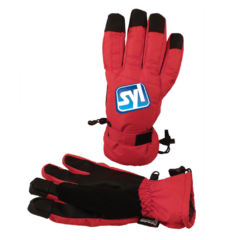 Touchscreen Ski Gloves - touchskiglovesred