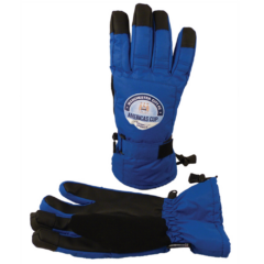 Touchscreen Ski Gloves - touchskiglovesroyal