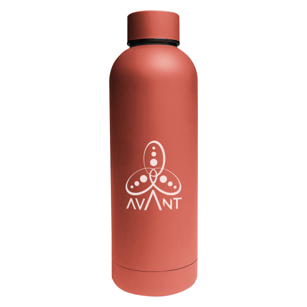 Blair Stainless Steel Bottle – 17 oz - 5381_TER_Silkscreen