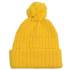 Beanie with Pom - beaniewpomgold