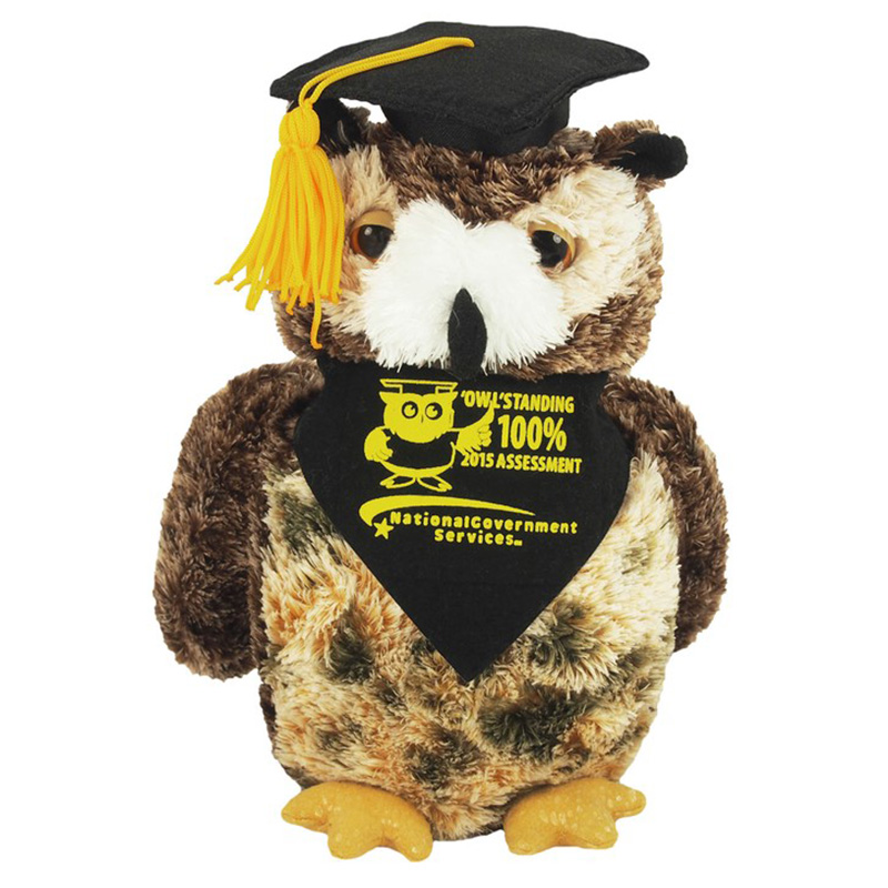 graduation plush toy