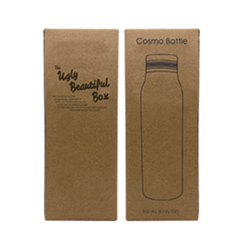 Cosmo Metal Water Bottle – 17 oz - Gift box