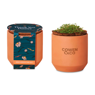 Modern Sprout Tiny Terracotta Grow Kit 8211 Thank You Daisy