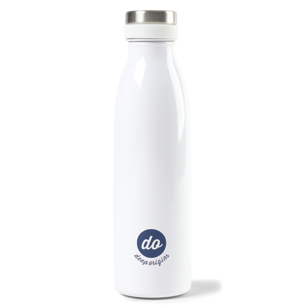 Aviana™ Palmer Double Wall Stainless Bottle – 17 oz - Aviana Palmer Double Wall Stainless Bottle 8211 17 Oz