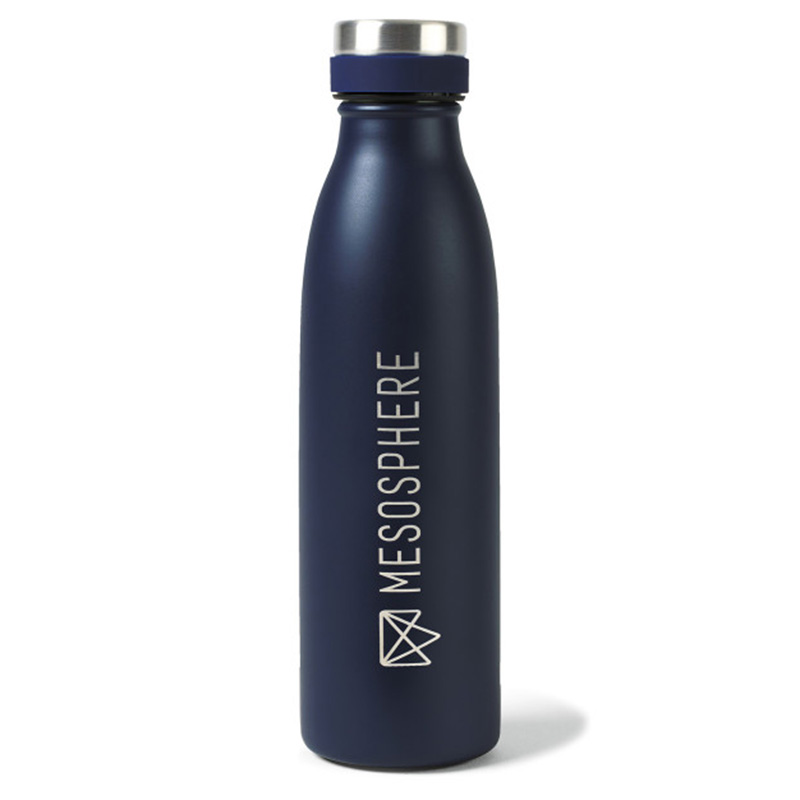 Aviana™ Palmer Double Wall Stainless Bottle – 17 oz - renditionDownload