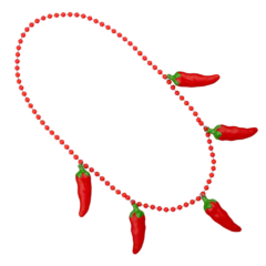 Chili Pepper Necklace - chilipeppernecklace