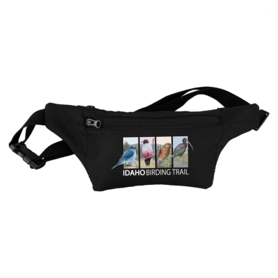 Trendy Fanny Pack