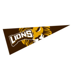 Pennant with Full Color Imprint - 4" x 10"