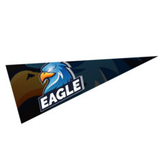 Pennant with Full Color Imprint – 5″ x 12″ - 7746_group