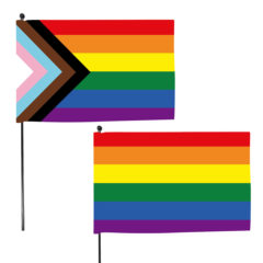 Pride Hand Flags – 4″ x 6″ - C16S_group