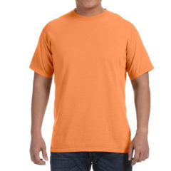 Comfort Colors Adult Heavyweight T-Shirt - c1717_59_z