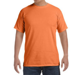 Comfort Colors Adult Heavyweight T-Shirt - c1717_69_z