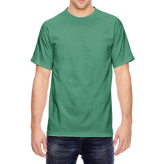 Comfort Colors Adult Heavyweight T-Shirt - c1717_c4_z