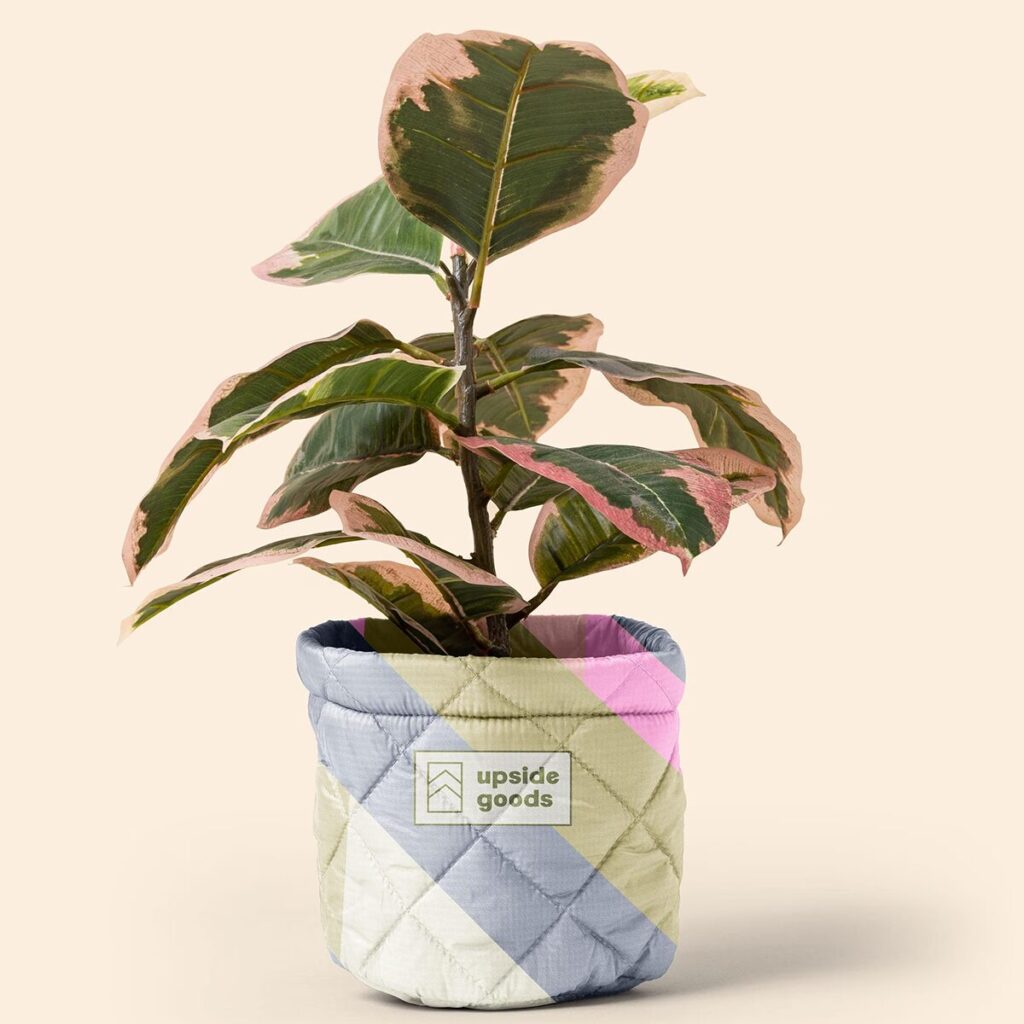 Mary Jane Plant Cover – Puff Puff - 5612-PP_media-21 copy