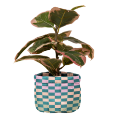 Mary Jane Plant Cover – Puff Puff - maryvert