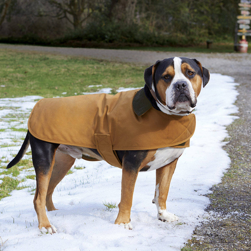 Carhartt® Dog Chore Coat Show Your Logo