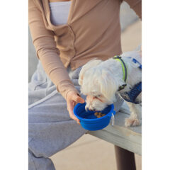 Feed ‘N Go Collapsible Pet Bowl with Carabiner - who-fg23_extra01