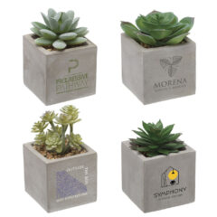 Mini Faux Potted Succulent - 5900_01default