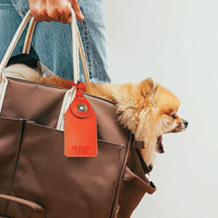 Luggage Tag with Airtag Holder - Luggage Tag with Airtag Holderinuse