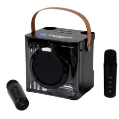 Karaoke Wireless Speaker with 2 Mics - 15W