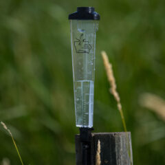 Triangle Rain Gauge - GP242RT_2__154351717596474