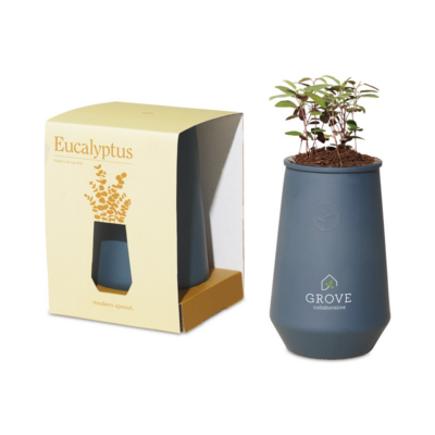 Modern Sprout Tapered Tumbler Grow Kit 8211 Blue Agave