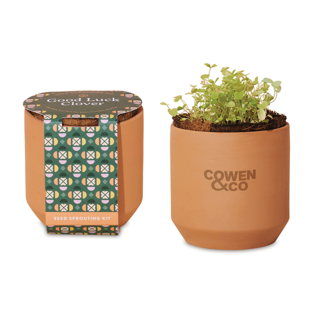 Modern Sprout® Tiny Terracotta Grow Kit – Good Luck Clover - Modern Sprout Tiny Terracotta Grow Kit Good Luck Clover
