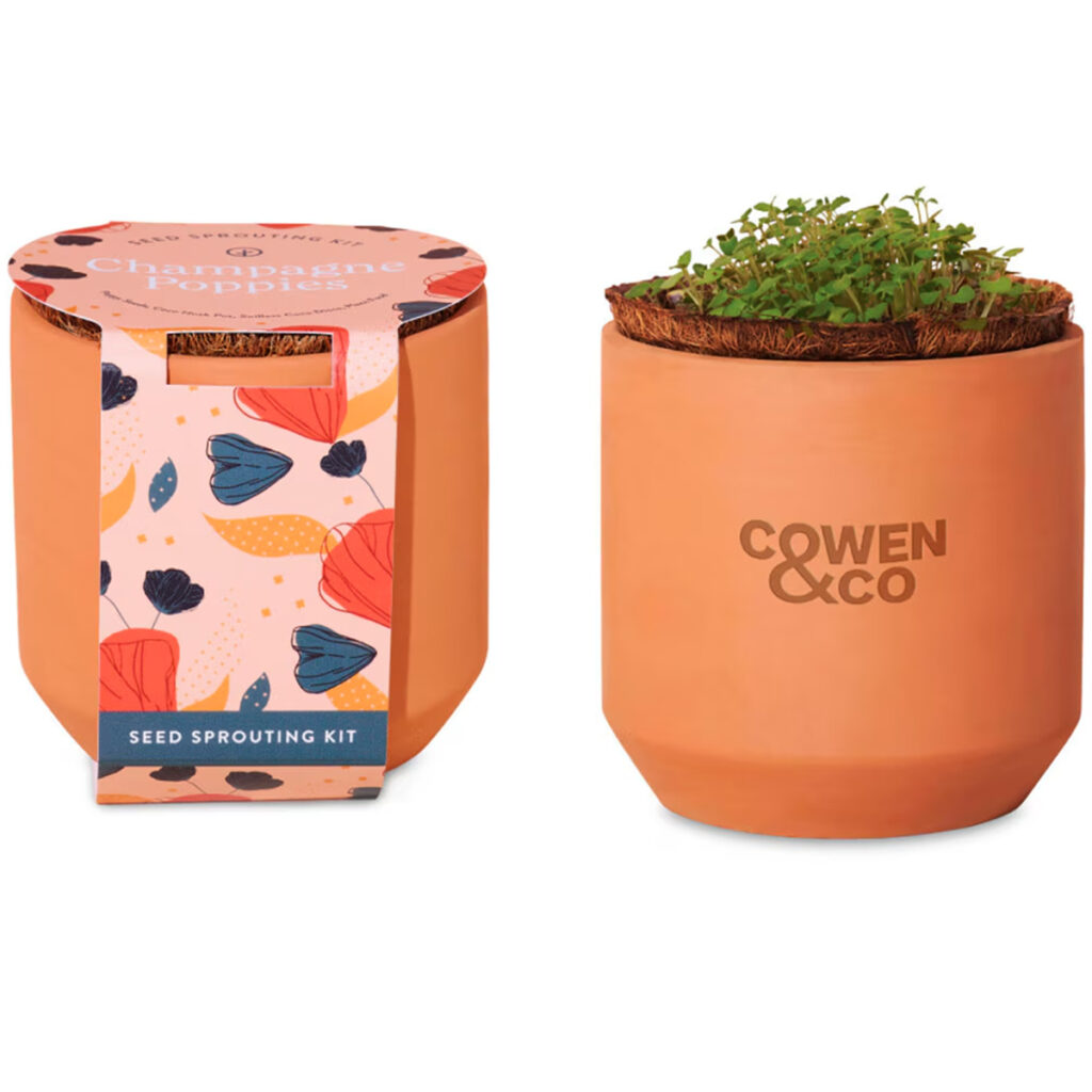 Modern Sprout® Tiny Terracotta Grow Kit – Champagne Poppies - main