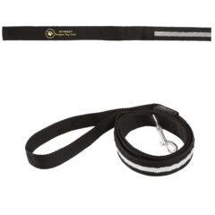 Rechargeable LED Light-Up Dog Leash