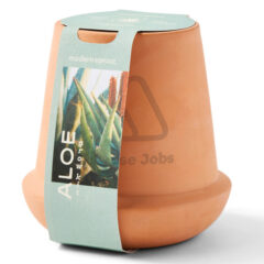 Modern Sprout® Modern Terracotta Grow Kit Aloe - main2