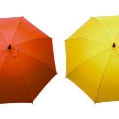 A series of four open umbrellas sit along a white background Theyre blue red yellow and purple
