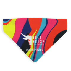 Sublimated Pet Collar Bandana